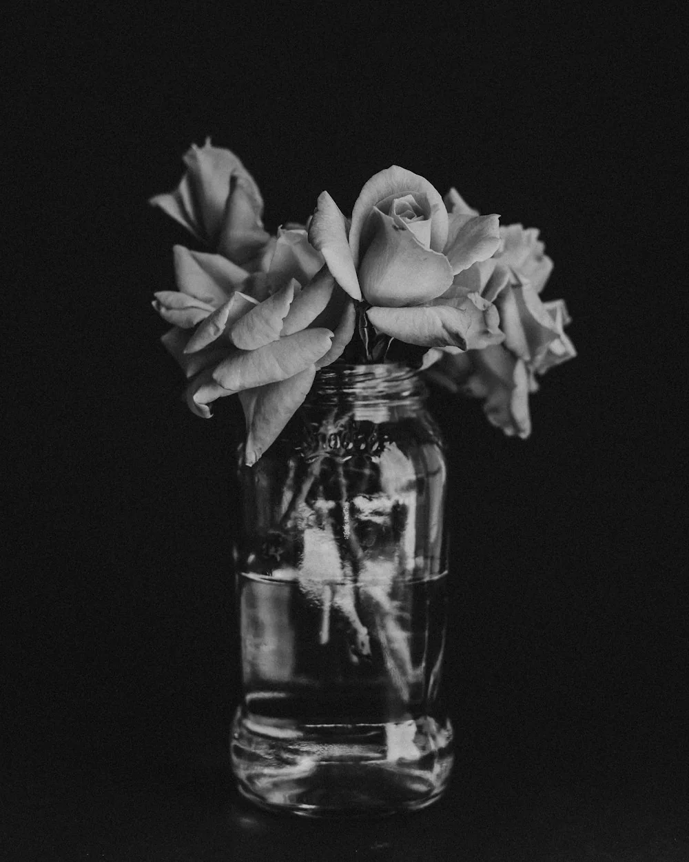 Roses in a glass jar, photographed in black and white