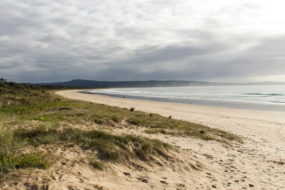 A quiet sandy beach beneath a soft cloudy sky